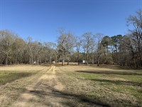 360 Acres Prime Hunting Land Roxie : Roxie : Franklin County : Mississippi