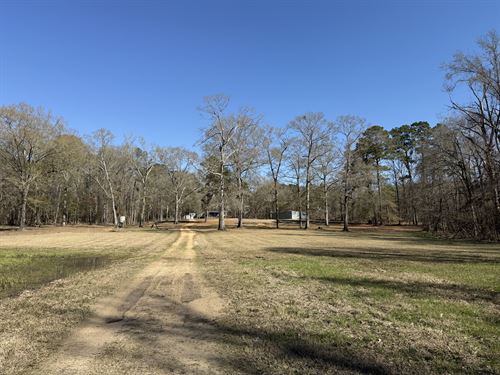 360 Acres Prime Hunting Land Roxie : Roxie : Franklin County : Mississippi