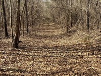 10-065 Mobile Road : Greenville : Butler County : Alabama