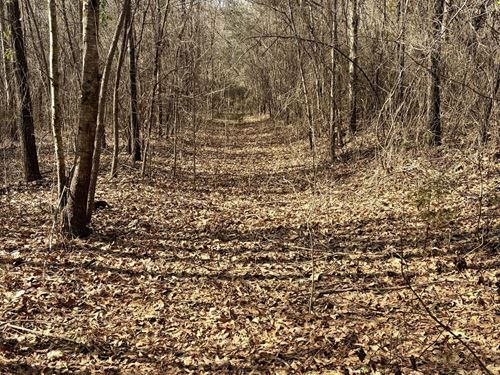 10-065 Mobile Road : Greenville : Butler County : Alabama