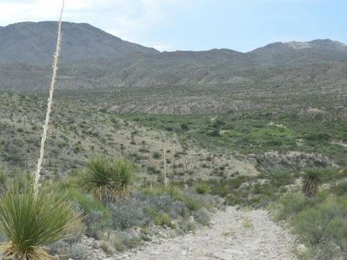 Unrestricted 10-Acre Northwest : Presidio City : Presidio County : Texas