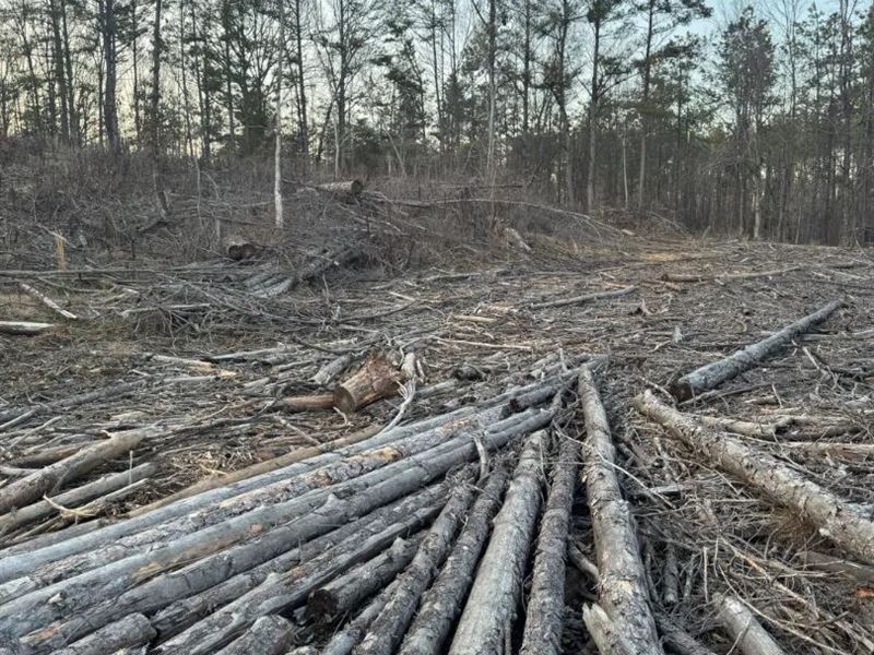 70.1 Acres in Yalobusha County, MS : Coffeeville : Yalobusha County : Mississippi