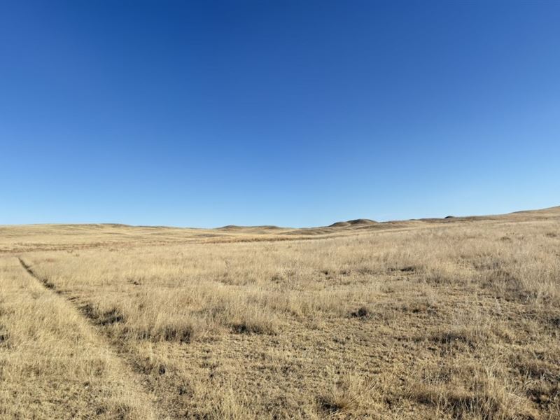 Sedgwick County Ranch : Julesburg : Sedgwick County : Colorado