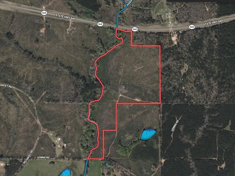 58 Acres in Simpson County in Harri : Harrisville : Simpson County : Mississippi