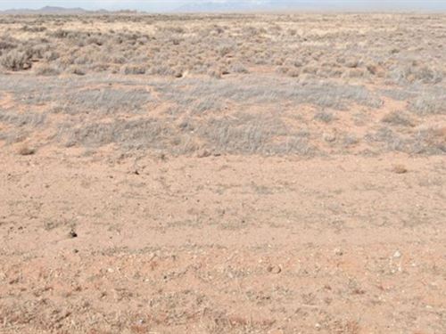 Click to Own 4.91 Acres : San Luis : Costilla County : Colorado