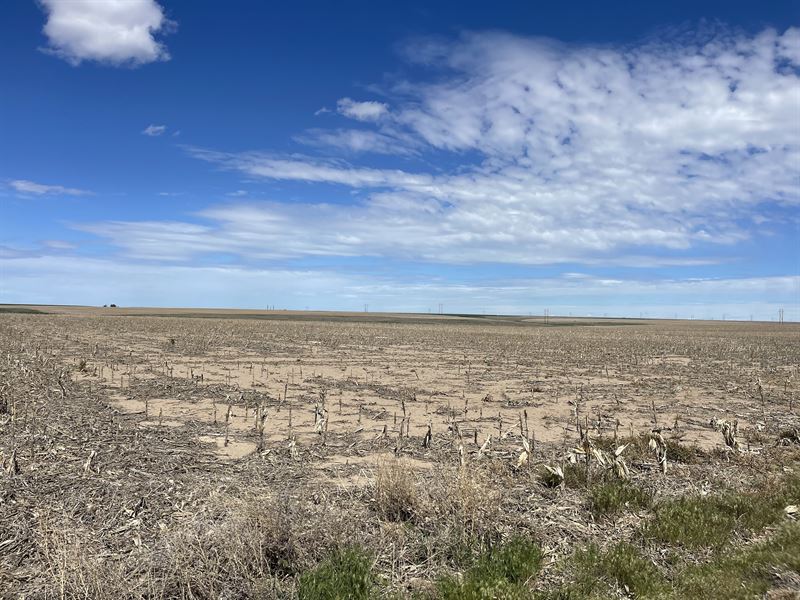 Trahern N2 13-10-43, 25026 : Burlington : Kit Carson County : Colorado