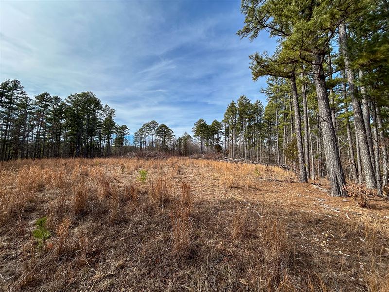 Vacant Land for Sale : Willow Springs : Howell County : Missouri