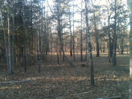Rattan Landing Estates N Tract 3.1 : Rattan : Pushmataha County : Oklahoma