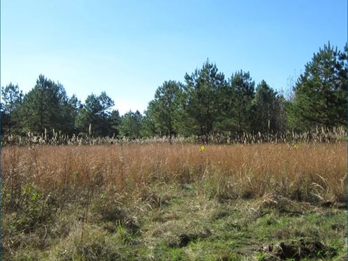 29.28 Acres Tract 2 in Tippah Cou : Walnut : Tippah County : Mississippi
