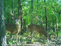 Catfish Bayou 131, Leflore Co., MS : Sidon : Leflore County : Mississippi