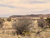 20 Acres Texas Dark Sky Ranch : Sierra Blanca : Hudspeth County : Texas