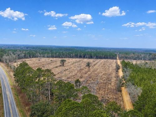 27 Acres of Country Living, Hwy 14 : Glennville : Tattnall County : Georgia