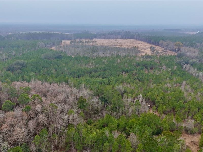 Whitetail Haven Retreat : Glennville : Tattnall County : Georgia