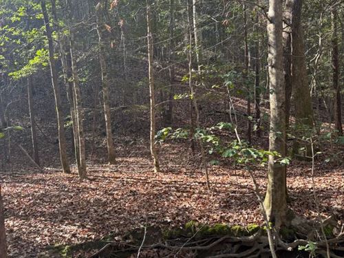 79.1 Acres in Monroe County, MS : Greenwood Springs : Monroe County : Mississippi