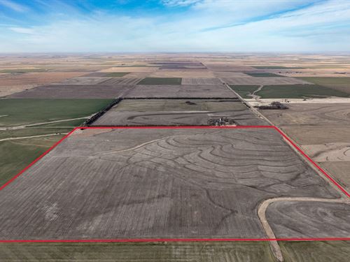 Pawnee County Cropland 157 : Garfield : Pawnee County : Kansas