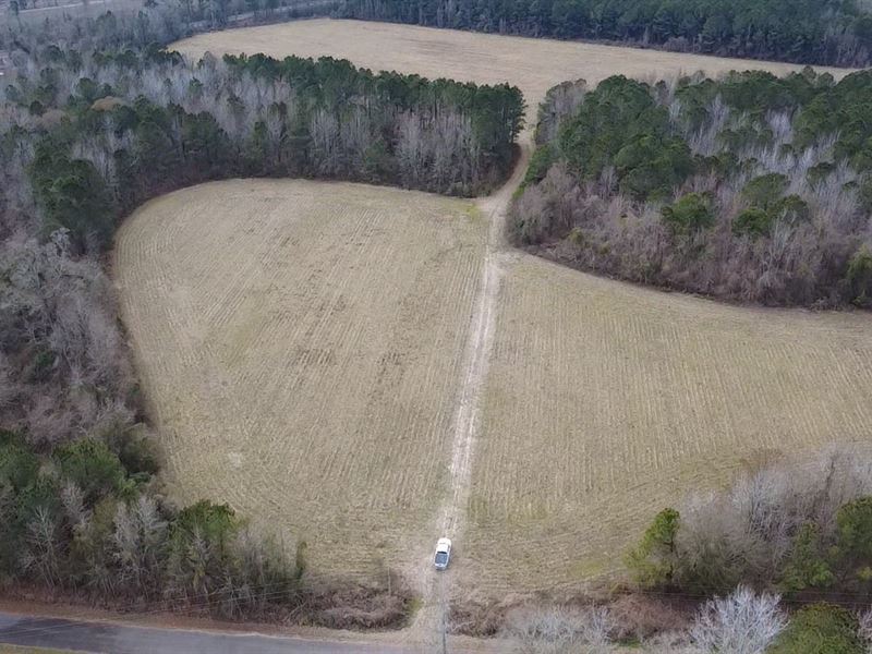 Duncan Chapel Tract : Bowman : Dorchester County : South Carolina