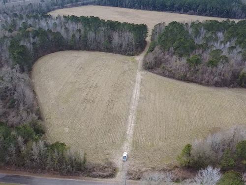 Duncan Chapel Tract : Bowman : Dorchester County : South Carolina