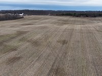 Land Auction, Whitley Co, In : Churubusco : Whitley County : Indiana