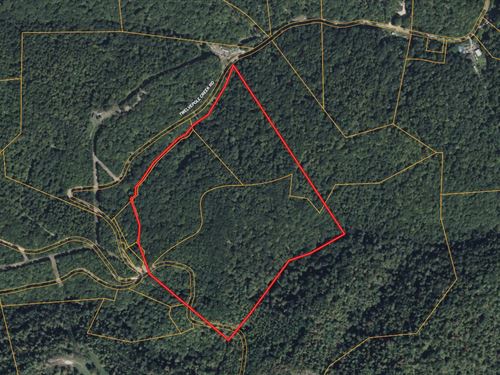52 Acres in Wayne County WV : Dunlow : Wayne County : West Virginia