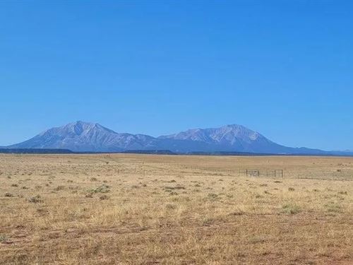Lot 5 East Peak Ranches, Laveta : La Veta : Huerfano County : Colorado