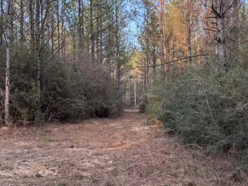 108 Acres in Greene County, MS : State Line : Greene County : Mississippi