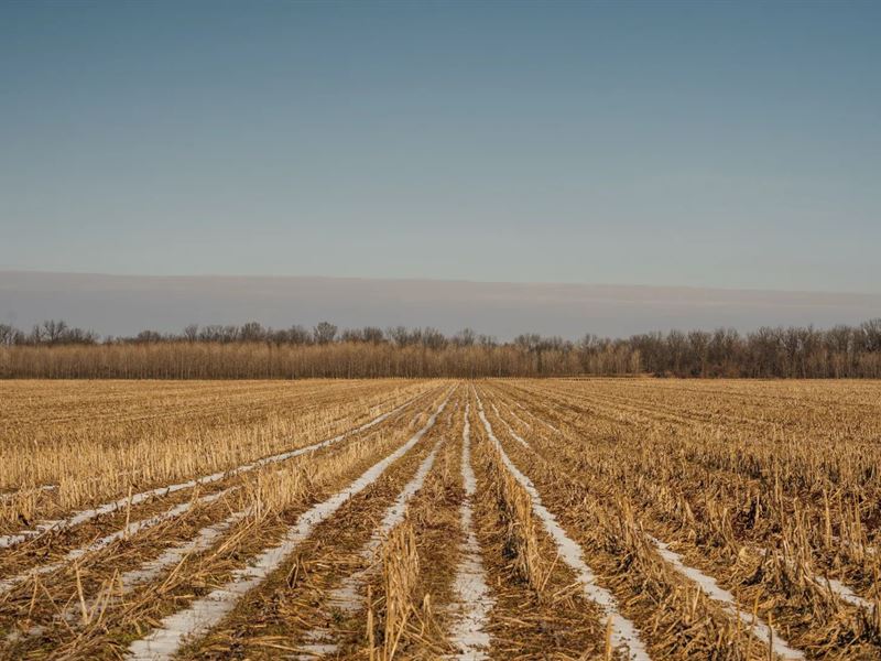 510 Acres in Jefferson County, AR : Altheimer : Jefferson County : Arkansas