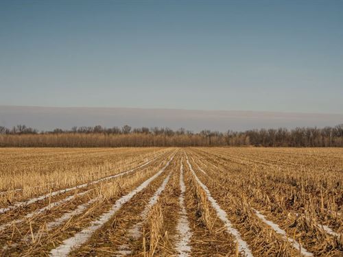 510 Acres in Jefferson County, AR : Altheimer : Jefferson County : Arkansas