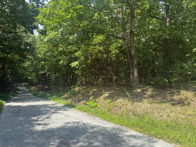 59 Acres Benton County, TN : Big Sandy : Benton County : Tennessee