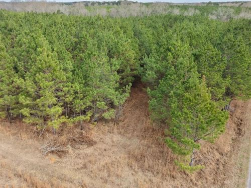 70 Acres in Jefferson Davis County : Carson : Jefferson Davis County : Mississippi