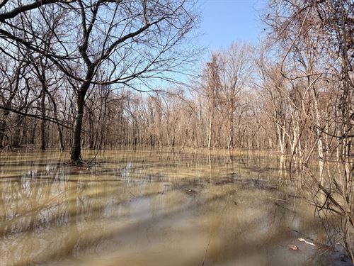 Bayou Deview Timber, Lodge, Shop : McCrory : Woodruff County : Arkansas