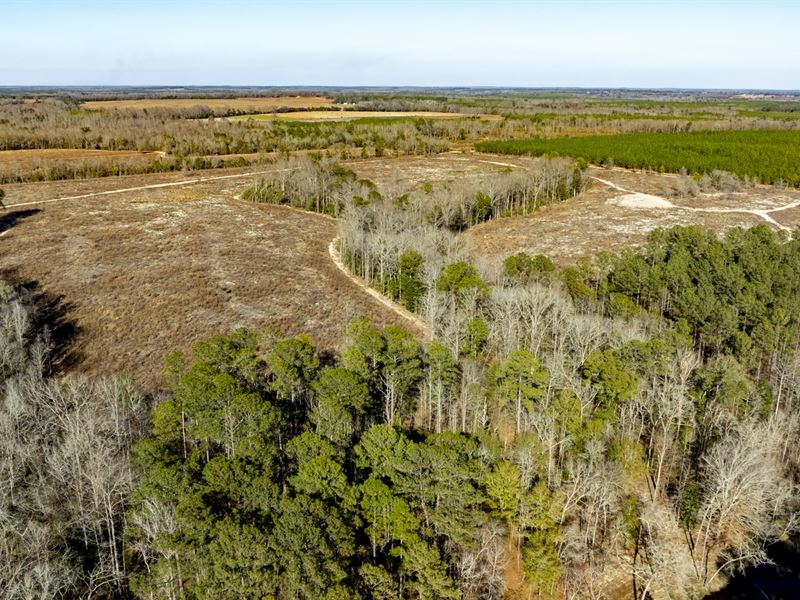 Block 107 North Hunting & Timber : Cuthbert : Randolph County : Georgia
