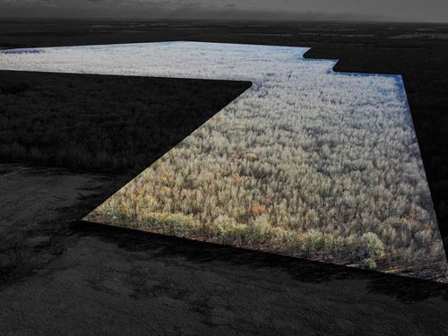 Hunting & Recreational Land, NE TX : Detroit : Red River County : Texas