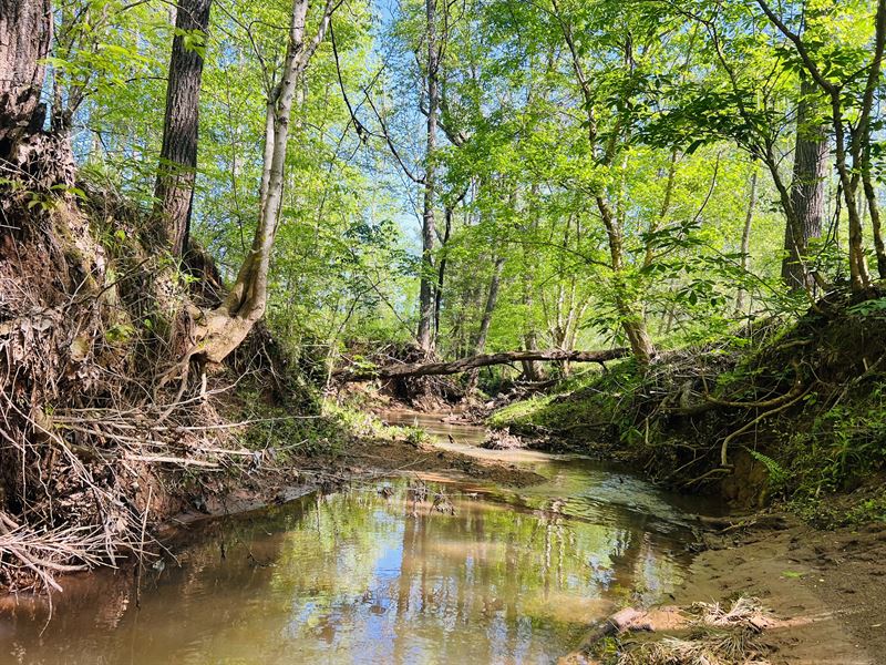 Wolf Creek Farms : Monticello : Jasper County : Georgia