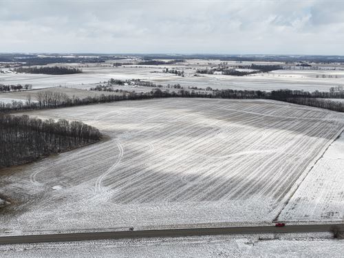 Land Auction, Wayne Co, In : Williamsburg : Wayne County : Indiana