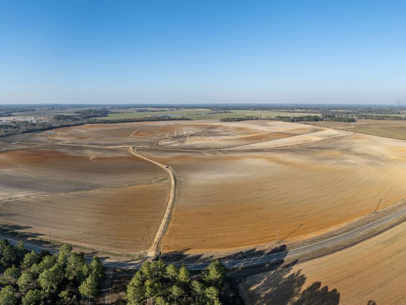 Online Auction Brownlee Farm : Moultrie : Colquitt County : Georgia