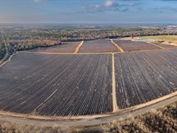 Online Only The Crum Farm : Moultrie : Colquitt County : Georgia