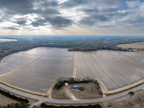 Online Only The Hopper Farm : Moultrie : Colquitt County : Georgia