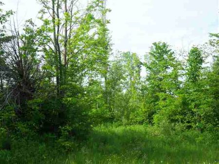 Tbd North Firesteel Rd. Mls 1060579 : Greenland : Ontonagon County : Michigan