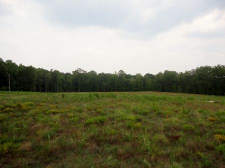155 Acres Of Hardwoods, and Creeks : Sparta : Hancock County : Georgia