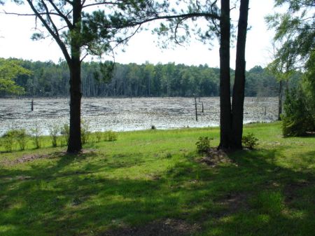 72 Acres Of Paradise : Clayton : Barbour County : Alabama
