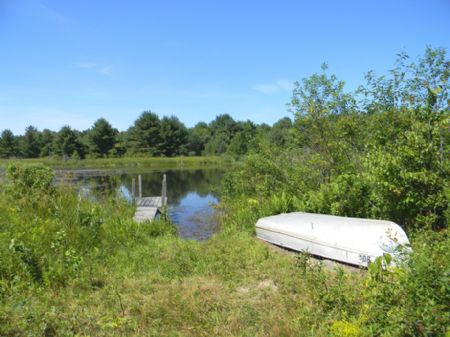 132+ Acres 3 Ponds Woods Wildlife : Groton : Tompkins County : New York