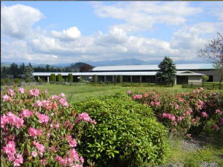 Bank-owned 33-acre Equestrian Ranch : Enumclaw : King County : Washington