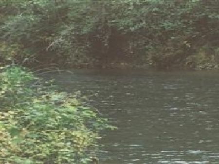 Swinging Bridge : Montesano : Grays Harbor County : Washington