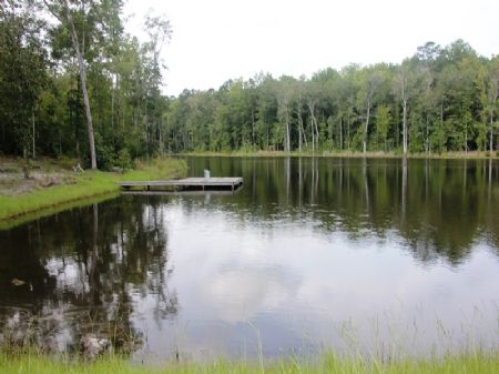 Roaring Creek Farm : Mt. Pleasant : Gadsden County : Florida