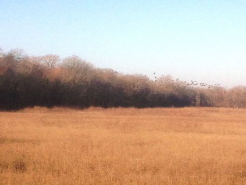 146.2 Acres On Private Lake : Des Arc : Prairie County : Arkansas