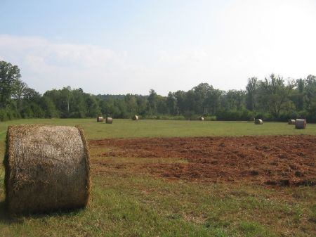 189 Acres Just Outside Of Monticell : Monticello : Jasper County : Georgia