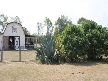 Residence, Open Fields and Woodland : Harrison : Washington County : Georgia