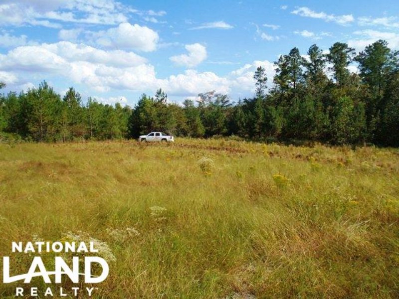 Citronellle Pushmataha Creek Tract : Citronelle : Mobile County : Alabama