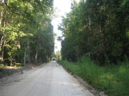 Mercer Lane Tract : Cottageville : Colleton County : South Carolina