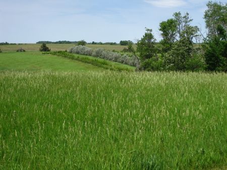 Prairie Land and Cabin : Arlington : Brookings County : South Dakota